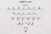 Bulliandry | Modern Calligraphy, a Script Font by Analogous (Thumbnail 13 of 14)