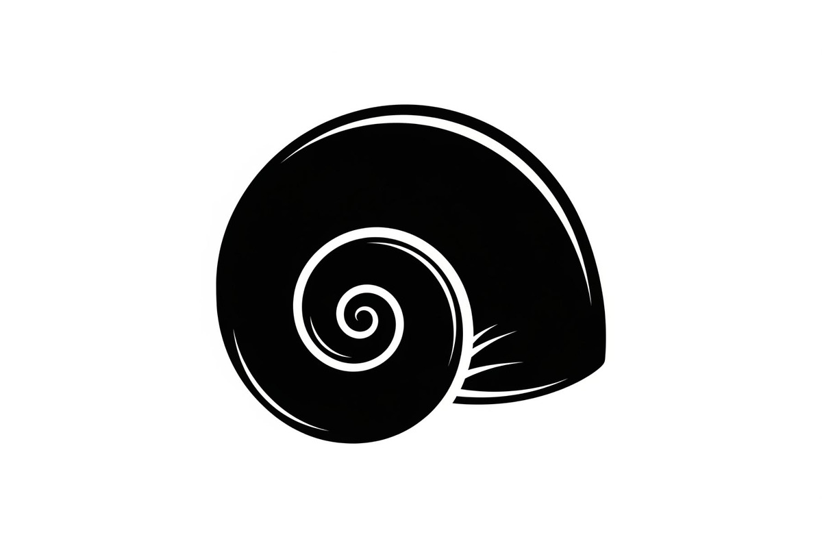 Shell Silhouette Vector Bundle, an Illustration by hafijul (Photo 29 of 48)