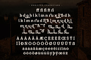 Dhrifted Slab Serif Font, a Slab Serif Font by Storytype Studio (Thumbnail 14 of 15)