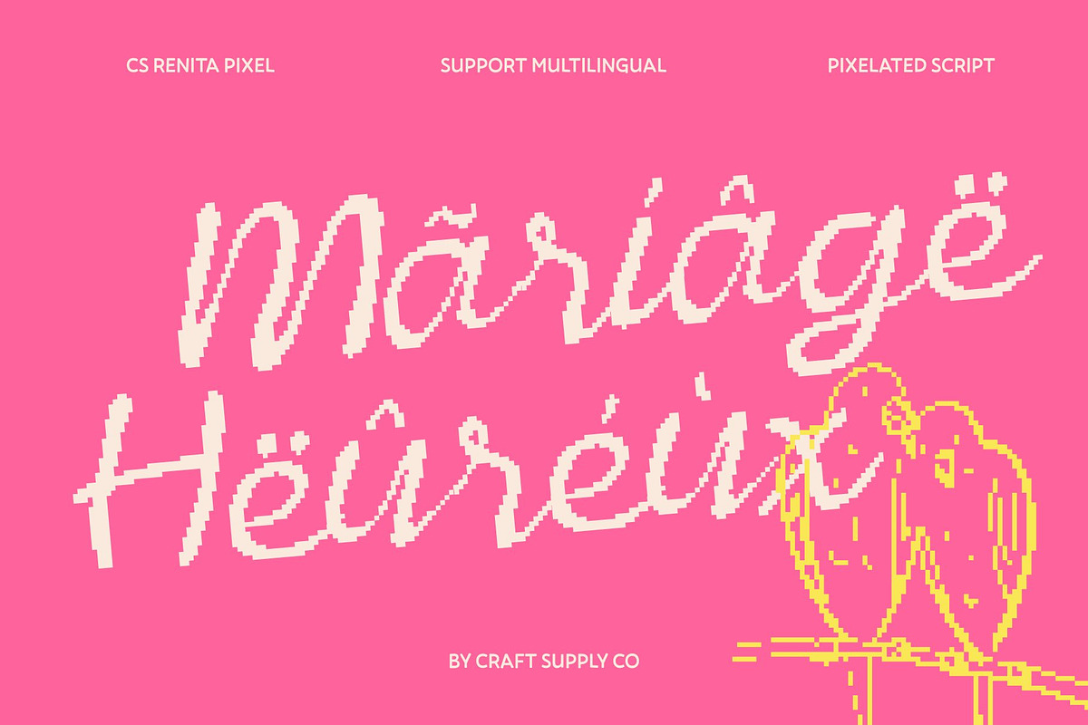 CS Renita Pixel, a Script Font by Craft Supply Co. (Photo 6 of 8)