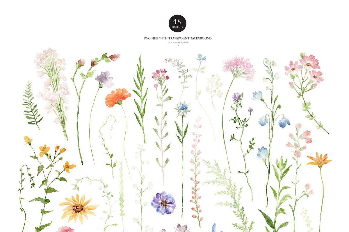 Watercolor AIRY WILDFLOWER Clipart, a Decorative Illustration by Beigetime (Photo 3 of 16)