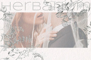 Herbarium. Pencil sketches, a Decorative Illustration by Love Watercolor Store (Thumbnail 8 of 8)