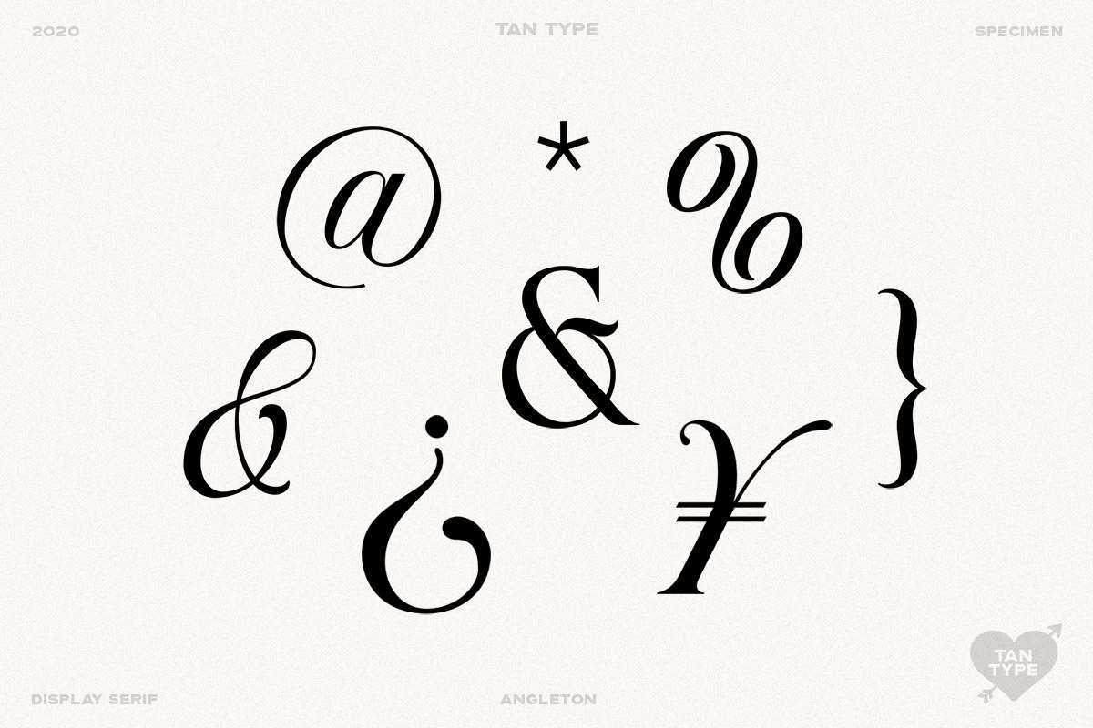 TAN - ANGLETON, a Serif Font by TanType (Photo 13 of 16)