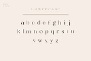 Vilaka Modern Serif, a Serif Font by Nestype (Thumbnail 4 of 10)