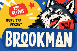 Brookman Display, a Handwritten Font by Youngtype.Std