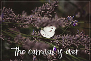 29 Lightroom Presets OH HAPPY DAYS!, an Action Add-On by Les Hirondelles Ph (Thumbnail 11 of 11)