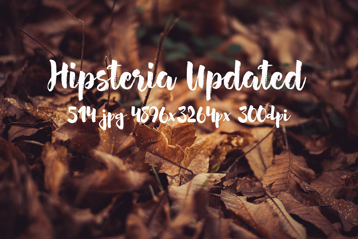 Hipsteria photo pack, a Templates & Theme by ApertureVintage (Photo 29 of 48)
