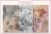 Fresco collection Flower symphony, a Wallpaper Graphic by Natalia0307 (Thumbnail 2 of 14)