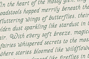 Fairwren, a Serif Font by Chelsea Burkett (Thumbnail 2 of 9)