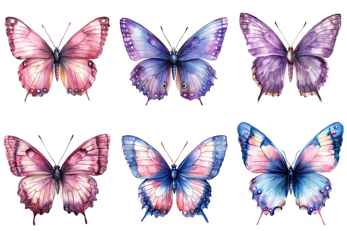 Watercolor Butterfly Clipart Png, an Illustration by cherrydesign (Photo 3 of 4)