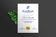 Professional Certificate Design, a Templates & Theme by rix_designs (Thumbnail 6 of 6)