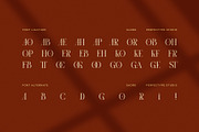 Saore Luxury Ligature Serif Font, a Serif Font by Perfectype (Thumbnail 8 of 8)