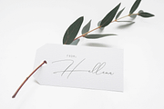 Groen Studio(Black Friday Sale), a Script Font by groens (Thumbnail 2 of 7)