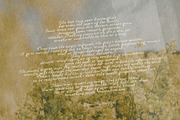Handwritten Texture Script & Serif, a Handwritten Font by Laras Wonderland (Thumbnail 6 of 14)