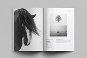 Photography Portfolio Template, a Brochure Template by DesignCrest (Thumbnail 12 of 17)