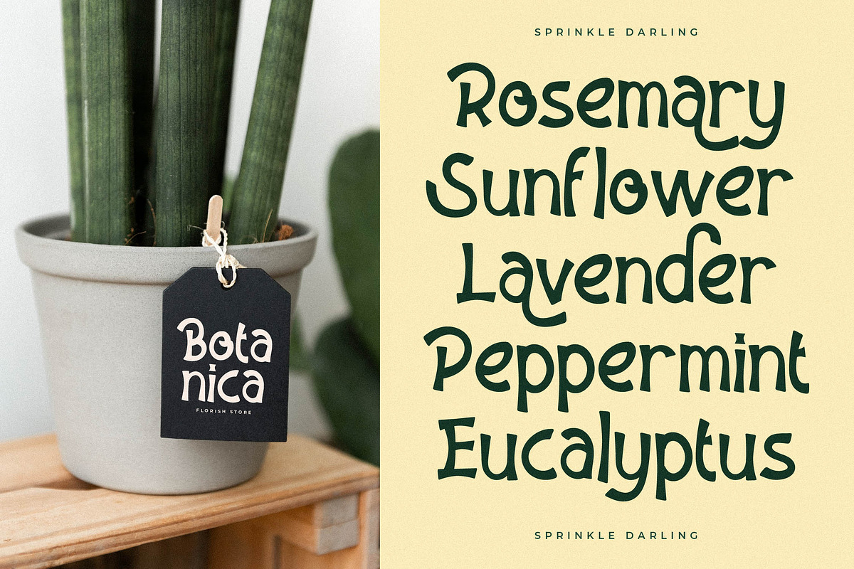 Sprinkle Darling New Display Kids, a Serif Font by Storytype Studio (Photo 3 of 17)