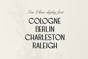 LOU ELLOISE Display Font, a Serif Font by Sylt Type (Thumbnail 4 of 11)