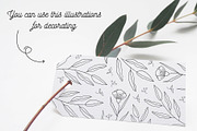 110 Hand-drawn botanical elements, a Decorative Illustration by Wander Designs (Thumbnail 3 of 8)