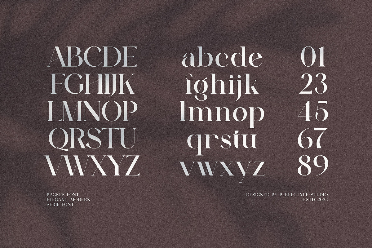Bagkes Elegant Serif Font Typeface, a Serif Font by Perfectype (Photo 10 of 10)