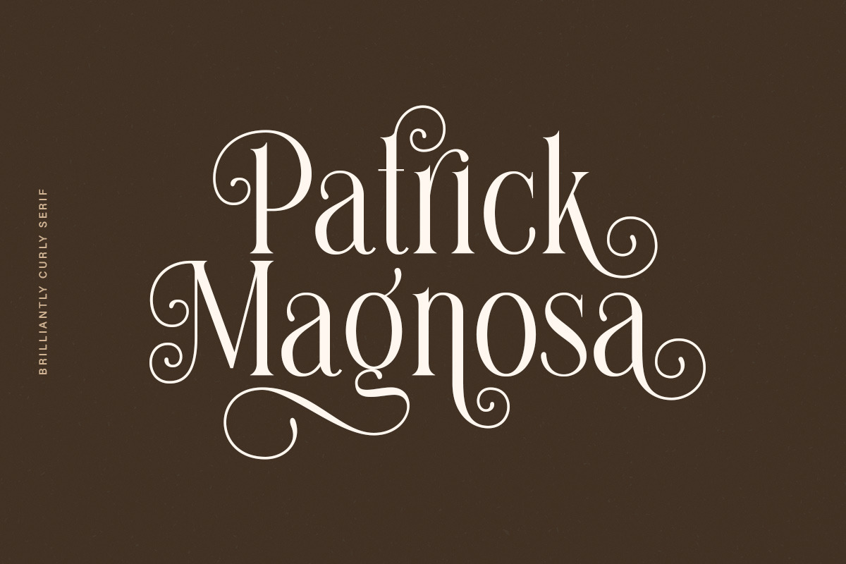 Brilliantly - A Stylish Serif, a Serif Font by Letterhend Studio (Photo 2 of 12)