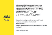 McCarthy Typeface - EIGHT Styles, a Sans Serif Font by McWhorter Creative Shop (Thumbnail 8 of 11)