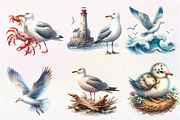 Watercolor Seagulls Clipart, an Illustration by Dream Creation (Thumbnail 7 of 7)