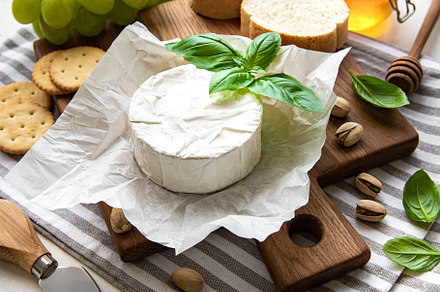 Close up view of camembert cheese, a Food & Drink Photo by Olena Rudo