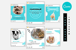 PETS INSTAGRAM FEED AND STORIES