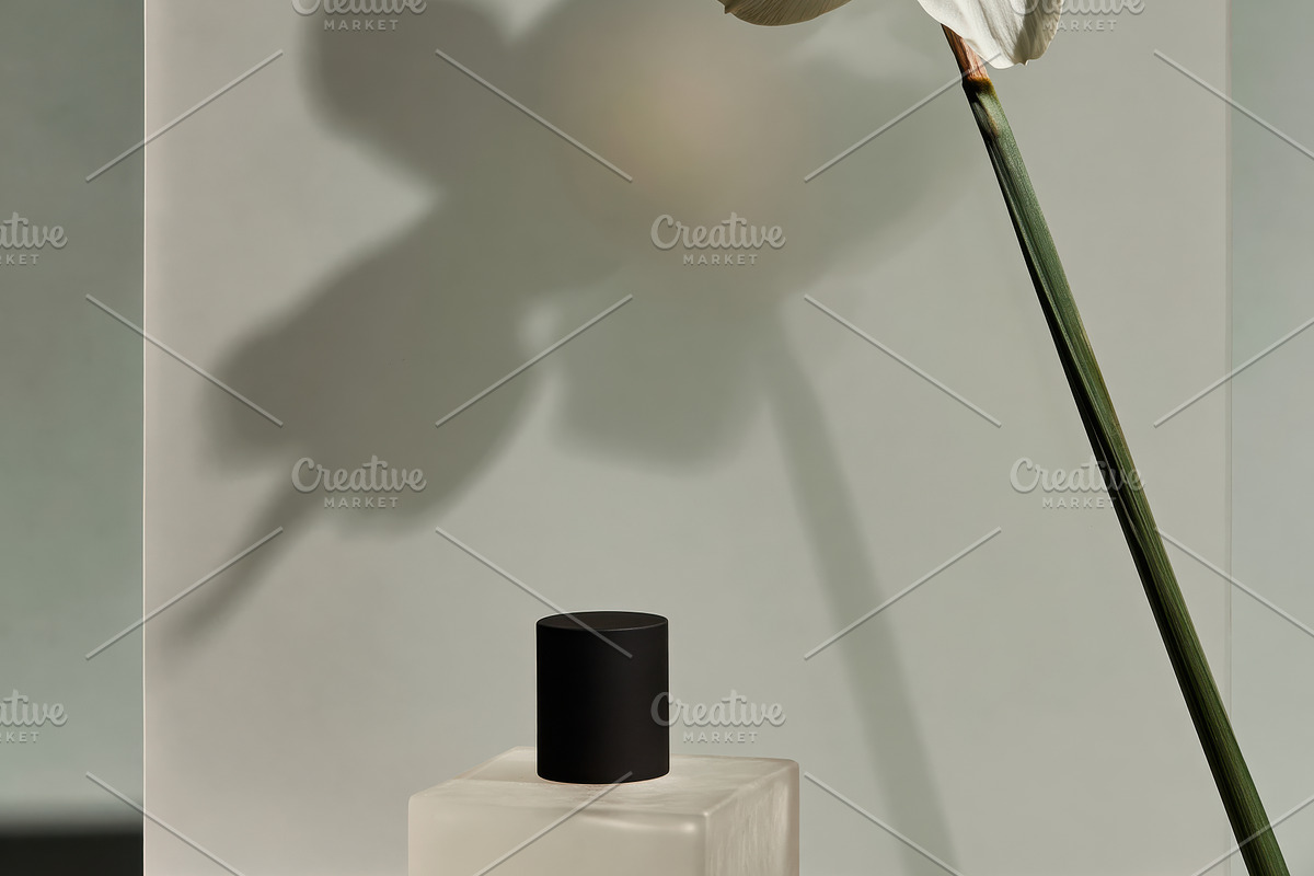 265 Cosmetic Packaging Stock Photos, a Beauty & Fashion Photo by Tale.Haus (Photo 19 of 19)