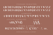 Brioche - (Light & Bold), a Serif Font by Sarid Ezra (Thumbnail 6 of 6)