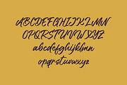 Mengko - Script Font, a Script Font by GFRcreative (Thumbnail 5 of 8)