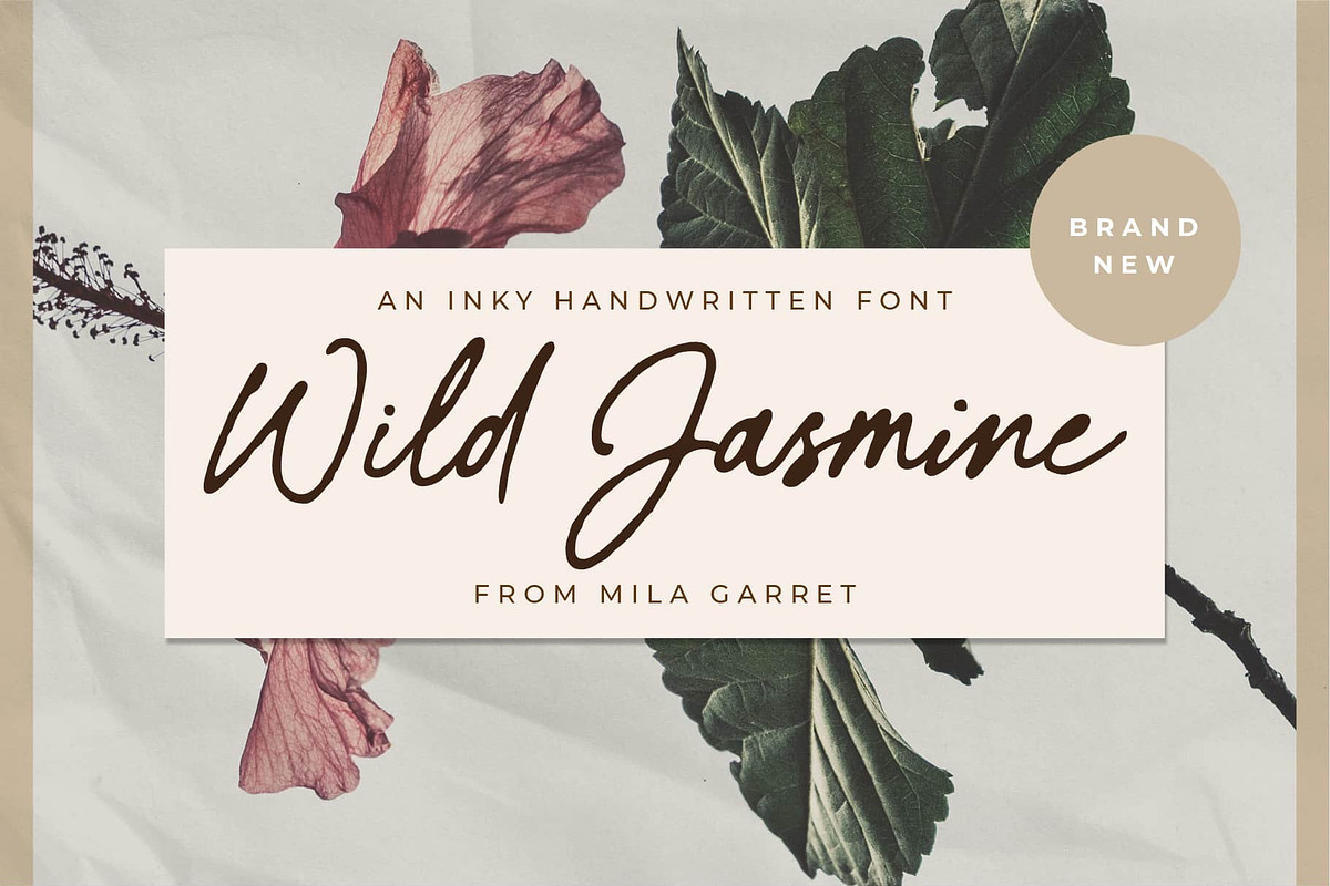 Wild Jasmine Signature Logo Script, a Script Font by Mila Garret (Photo 1 of 12)