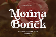 Morina Borick Elegant Ligature Serif, a Serif Font by Alfinart (Thumbnail 1 of 10)