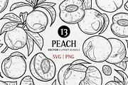 Peach SVG Clipart Fruit Set, a Food Illustration by MadliArt (Thumbnail 1 of 4)