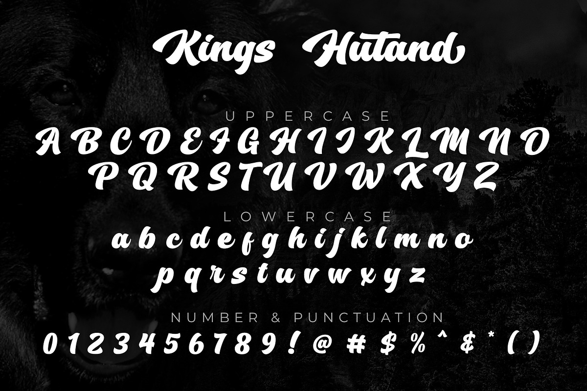Kings Hutand Modern Bold Script, a Script Font by Multype Studio (Photo 13 of 15)