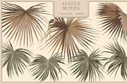 Fresco collection Leaves mural, a Wallpaper Graphic by Natalia0307 (Thumbnail 3 of 16)