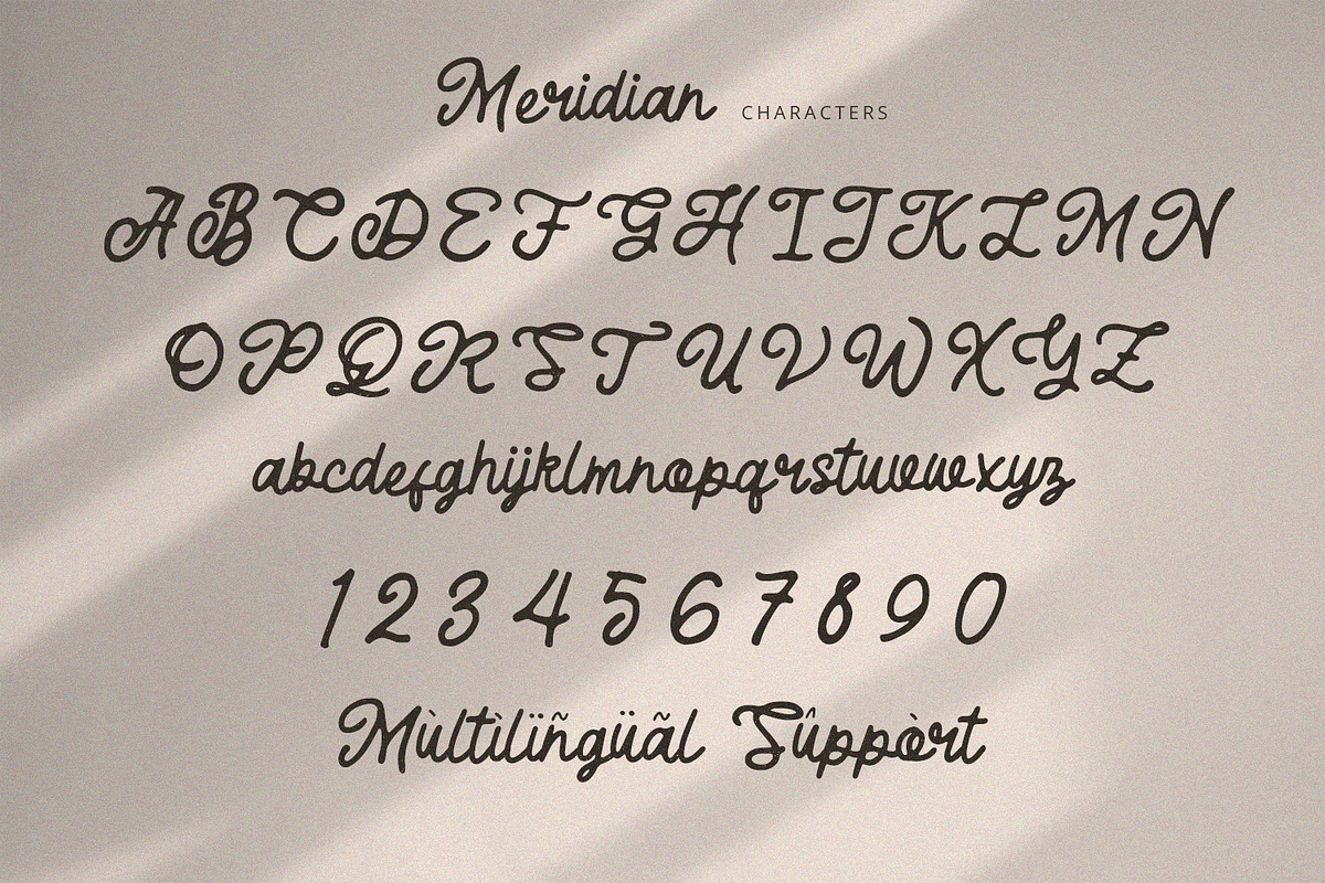 Meridian - Rough Script, a Script Font by Alpaprana (Photo 8 of 9)
