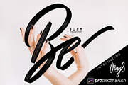 Vinyl Procreate Brush, a Brush Add-On by Angelo Knf | Anko Studio (Thumbnail 1 of 5)