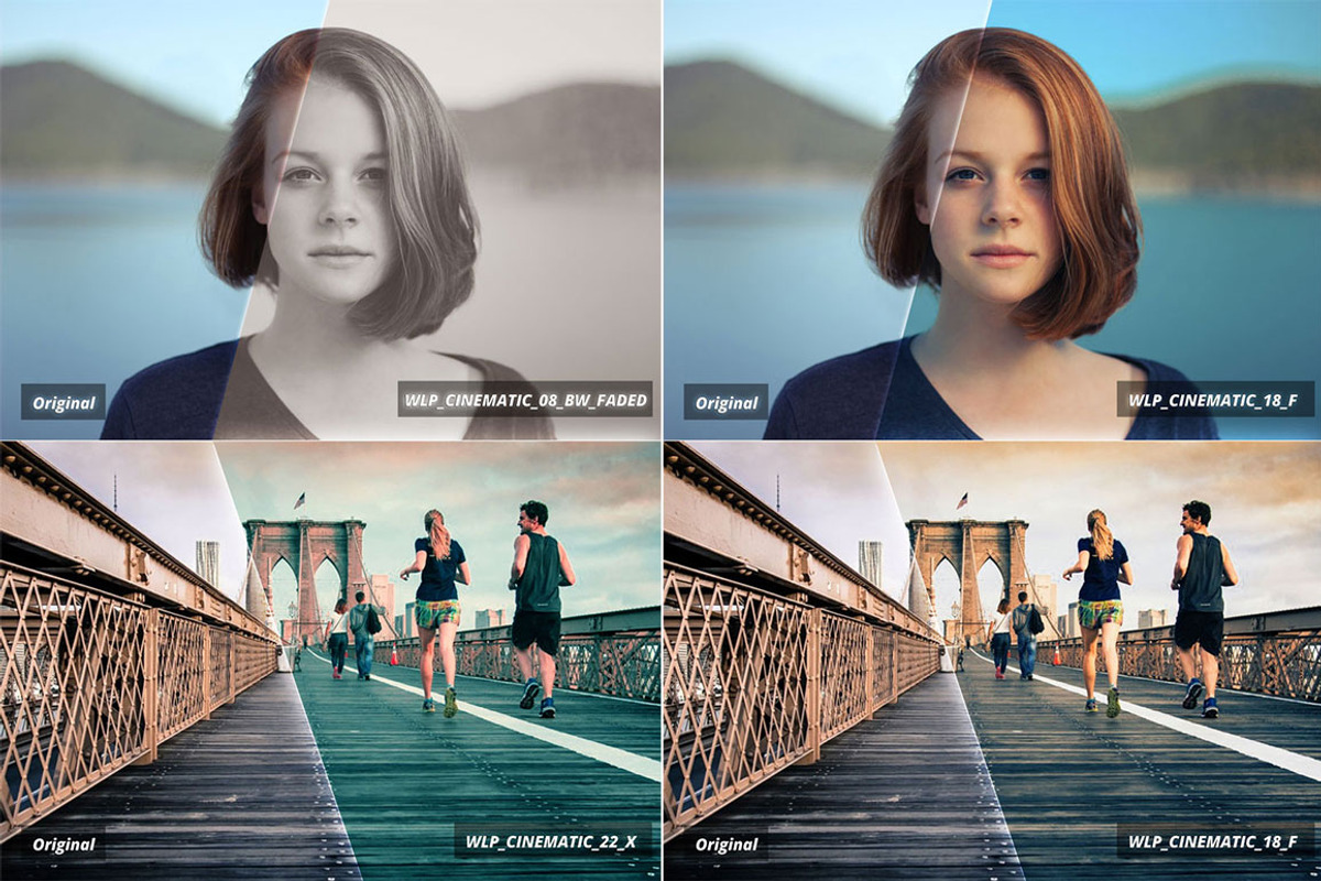 3d Luts - Cinematic Film Looks vol.1 preview 2