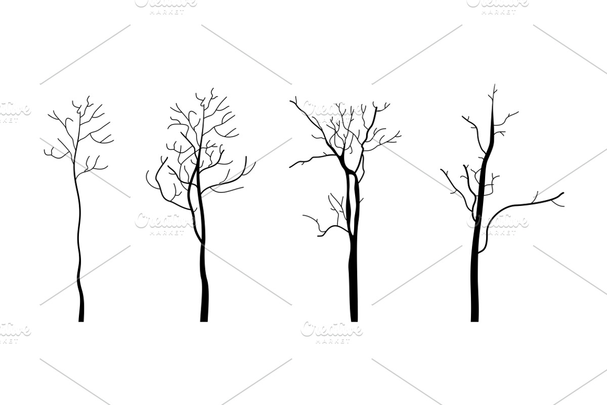 Tree branch3, an Illustration by Vector