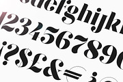 Font Bundle | 25 in 1, a Sans Serif Font by Anthony James (Thumbnail 33 of 45)