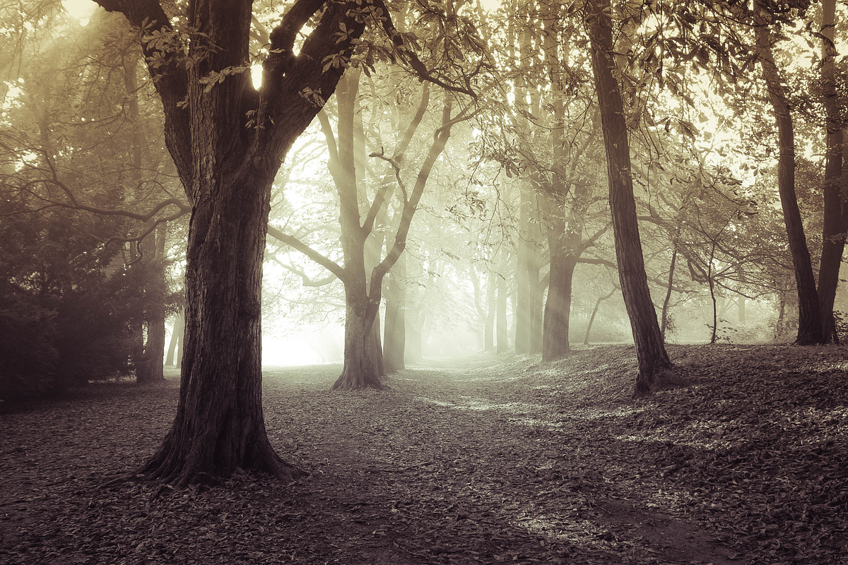 25 Dual Tone Landscape Presets, a Preset Add-On by Timeless Presets (Photo 4 of 10)