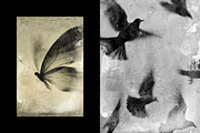 Antique Photo Effect, a Layer Style Add-On by Design Squad (Thumbnail 2 of 5)