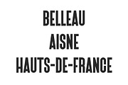 Belleau | Sans Serif Font Family, a Sans Serif Font by Pixel Supply Co. (Thumbnail 2 of 11)