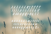 Greso Font - Handwritten Script Font, a Script Font by Creative Foundry (Thumbnail 9 of 9)