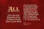 Carnival Lights - Decorative Serif, a Serif Font by Bale Type (Thumbnail 9 of 9)