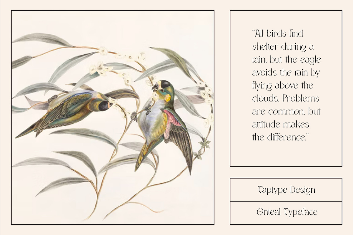Onteal - Serif Display Ligature Font, a Serif Font by Vesvocrea (Photo 2 of 9)
