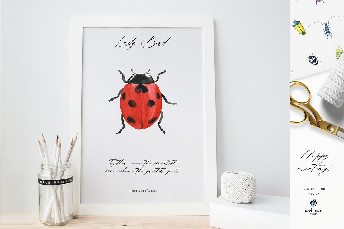 Watercolor Beetles&Co, an Animal Illustration by beehouse studio (Photo 5 of 6)