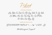 Piked | Handwritten Font, a Script Font by Lemonthe (Thumbnail 7 of 7)
