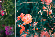 Orange & Teal Lightroom Presets, an Action Add-On by Maple Visuals (Thumbnail 4 of 9)